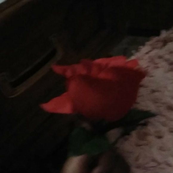 Flowers - Picture 4 of 4